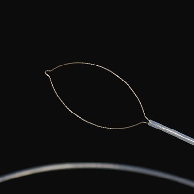 Эрүүний төрлийн гадаад бие махбодийн хятад