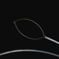 Гадаадын гадна талын цэвэр хэлбэр